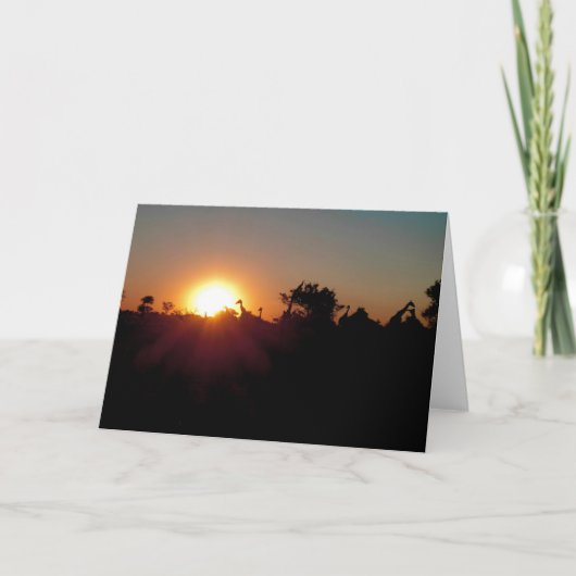 SONNENVERKEHR KARTE (Vorderseite)