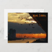 SONNENVERKEHR.......... Miami, Florida Postkarte (Vorne/Hinten)