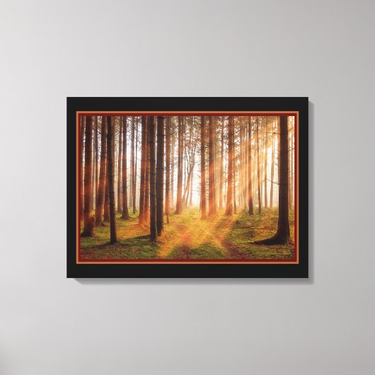 Sonnenverwunschener Wald Leinwanddruck (Vorderseite)