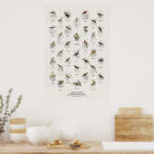 Sonnenvögel - Naturalist's Library Poster (Küche)
