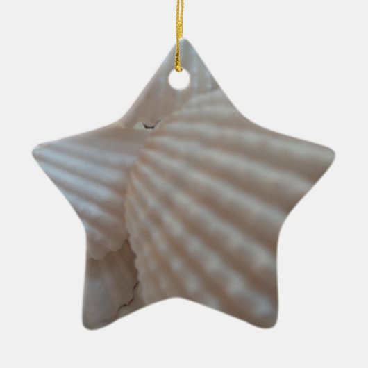 Sonnenweiße Muscheln, Sea Muschel Beach Sommer Lie Keramik Ornament (Vorne)