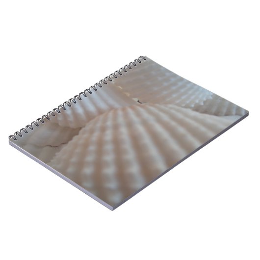 Sonnenweiße Muscheln, Sea Muschel Beach Sommer Lie Notizblock (Linke Seite)