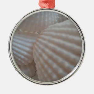 Sonnenweiße Muscheln, Sea Muschel Beach Sommer Lie Ornament Aus Metall