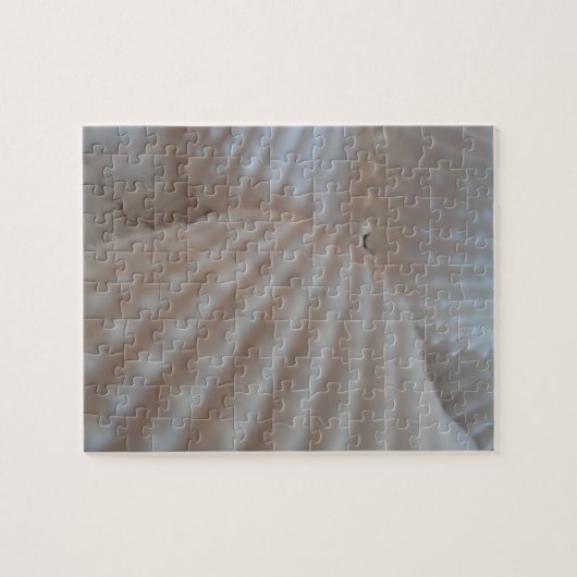 Sonnenweiße Muscheln, Sea Muschel Beach Sommer Lie Puzzle (Horizontal)