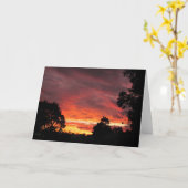 Sonnenwende-Sonnenuntergang ~ Karte (Gelbe Blume)