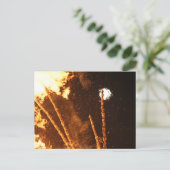 SONNENWENDFEUER IN STAUDEN BEI OBERNDORF POSTKARTE (Stehend Vorderseite)