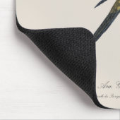 Sonnenzügelara oder Sonnensittich Aratinga solstit Mousepad (Ecke)