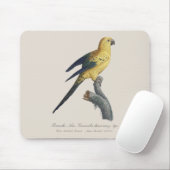 Sonnenzügelara oder Sonnensittich Aratinga solstit Mousepad (Mit Mouse)