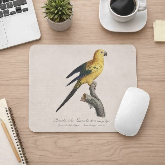 Sonnenzügelara oder Sonnensittich Aratinga solstit Mousepad