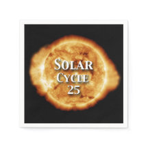 Sonnenzyklus 25 Active Sun