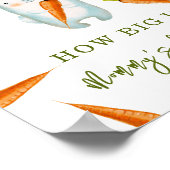 Sonnig mit Karotten - Wie groß ist Mommy's Bauch Poster (Ecke)