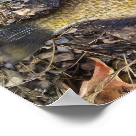 sonnig poster (Ecke)