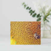 sonnig postkarte (Stehend Vorderseite)