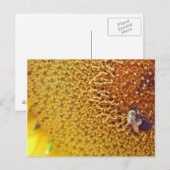 sonnig postkarte (Vorne/Hinten)