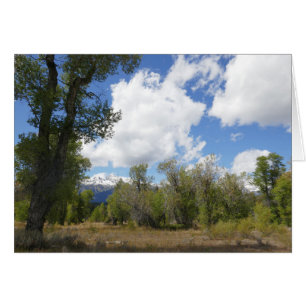 Sonnige Aussicht auf den Grand Teton