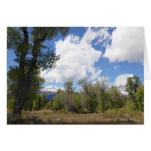 Sonnige Aussicht auf den Grand Teton (Vorderseite (Horizontal))
