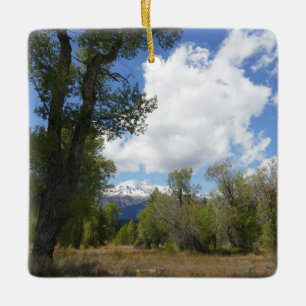 Sonnige Aussicht auf den Grand Teton Keramikornament