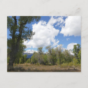 Sonnige Aussicht auf den Grand Teton Mountain Postkarte
