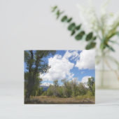 Sonnige Aussicht auf den Grand Teton Postkarte (Stehend Vorderseite)