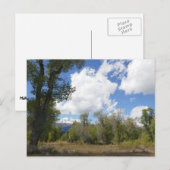 Sonnige Aussicht auf den Grand Teton Postkarte (Vorne/Hinten)