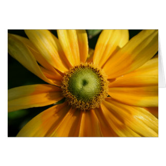 Sonnige Blume