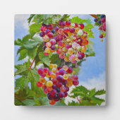 Sonnige Grapevine - Farbenfrohe Trauben Fotoplatte (Vorderseite)