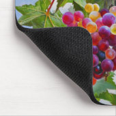 Sonnige Grapevine - Farbenfrohe Trauben Mousepad (Ecke)