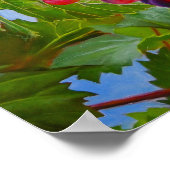 Sonnige Grapevine - Farbenfrohe Trauben Poster (Ecke)