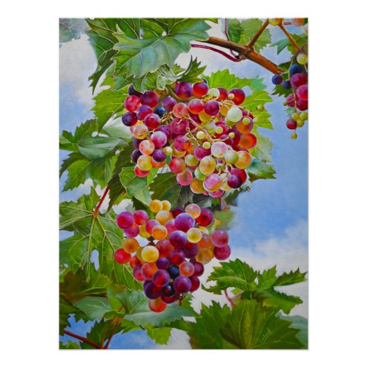 Sonnige Grapevine - Farbenfrohe Trauben Poster (Vorderseite)