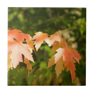 Sonnige Herbstbänke dekorativ Tile Fliese