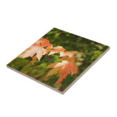 Sonnige Herbstbänke dekorativ Tile Fliese (Seite)