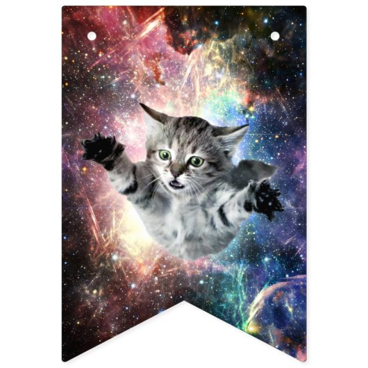 Sonnige Katze im Weltraum Wimpelkette (Zweite Fahne)