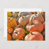 Sonnige Kürbis Postkarte (Vorne/Hinten)