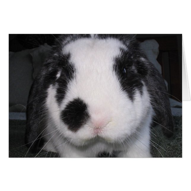 Sonnige Liebe (Vorderseite (Horizontal))