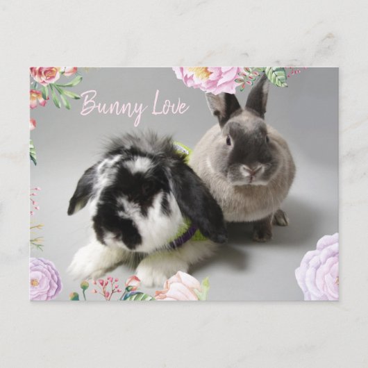 Sonnige Liebe Postkarte (Vorderseite)