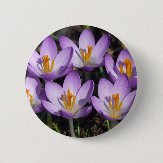 Sonnige Lila Kreuze Button (Vorderseite)