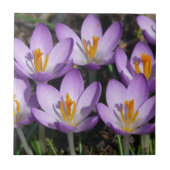 Sonnige Lila Kreuze Fliese (Vorderseite)