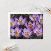 Sonnige Lila Kreuze Karte (Vorderseite/Rückseite Beispiel)