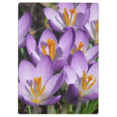 Sonnige Lila Kreuze Klemmbrett (Rückseite)