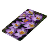 Sonnige Lila Kreuze Magnet (Linke Seite)