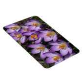 Sonnige Lila Kreuze Magnet (Rechte Seite)