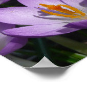 Sonnige Lila Kreuze Poster (Ecke)