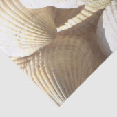 Sonnige Muscheln Sammlung Gratulationen Seidenpapier (Detail)