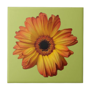 Sonnige Orange gerbera Blume Blüte Fliese