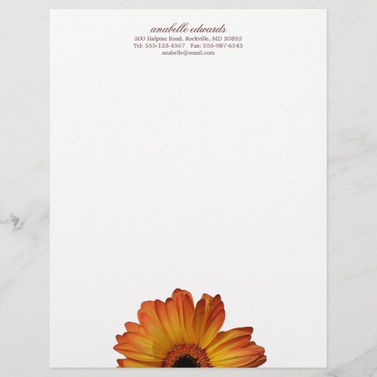 Sonnige orange Gerberagänseblümchen-Blumenblüte Briefkopf (Vorderseite)