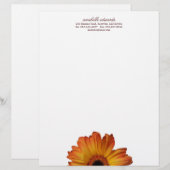 Sonnige orange Gerberagänseblümchen-Blumenblüte Briefkopf (Vorne/Hinten)