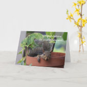 Sonnige Rentenkarte, Eichhörnchen in Planter Karte (Gelbe Blume)