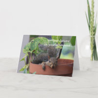 Sonnige Rentenkarte, Eichhörnchen in Planter