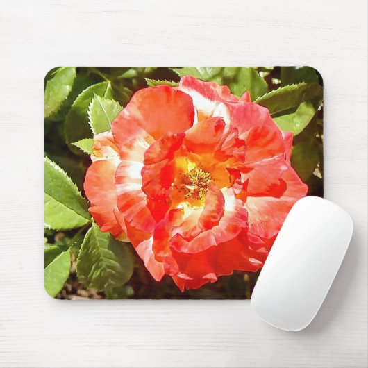 Sonnige Rose....... Mousepad (Mit Mouse)