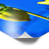 Sonnige Seite auf Fotodruck (Ecke)